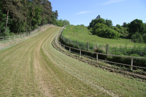 Der Bergring