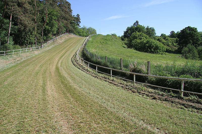 Der Bergring