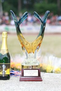 Auerhahn_2012_12